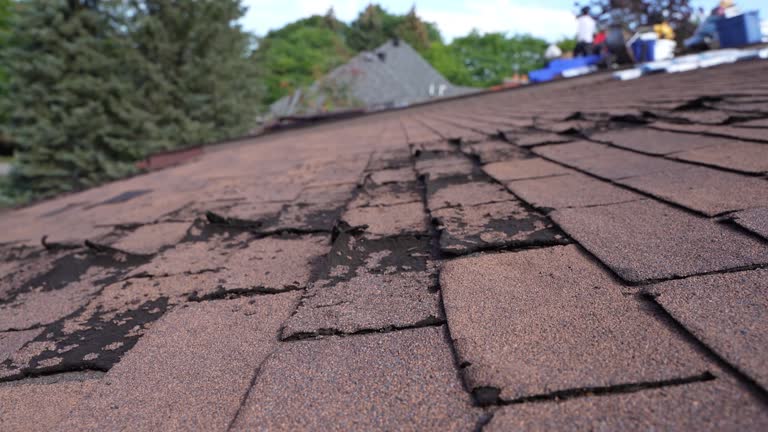Best Roof Installation  in Bethalto, IL