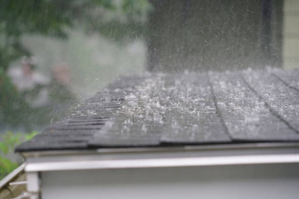 Best Gutter Installation and Repair  in Bethalto, IL